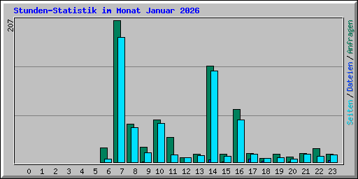 Stunden-Statistik im Monat Januar 2026